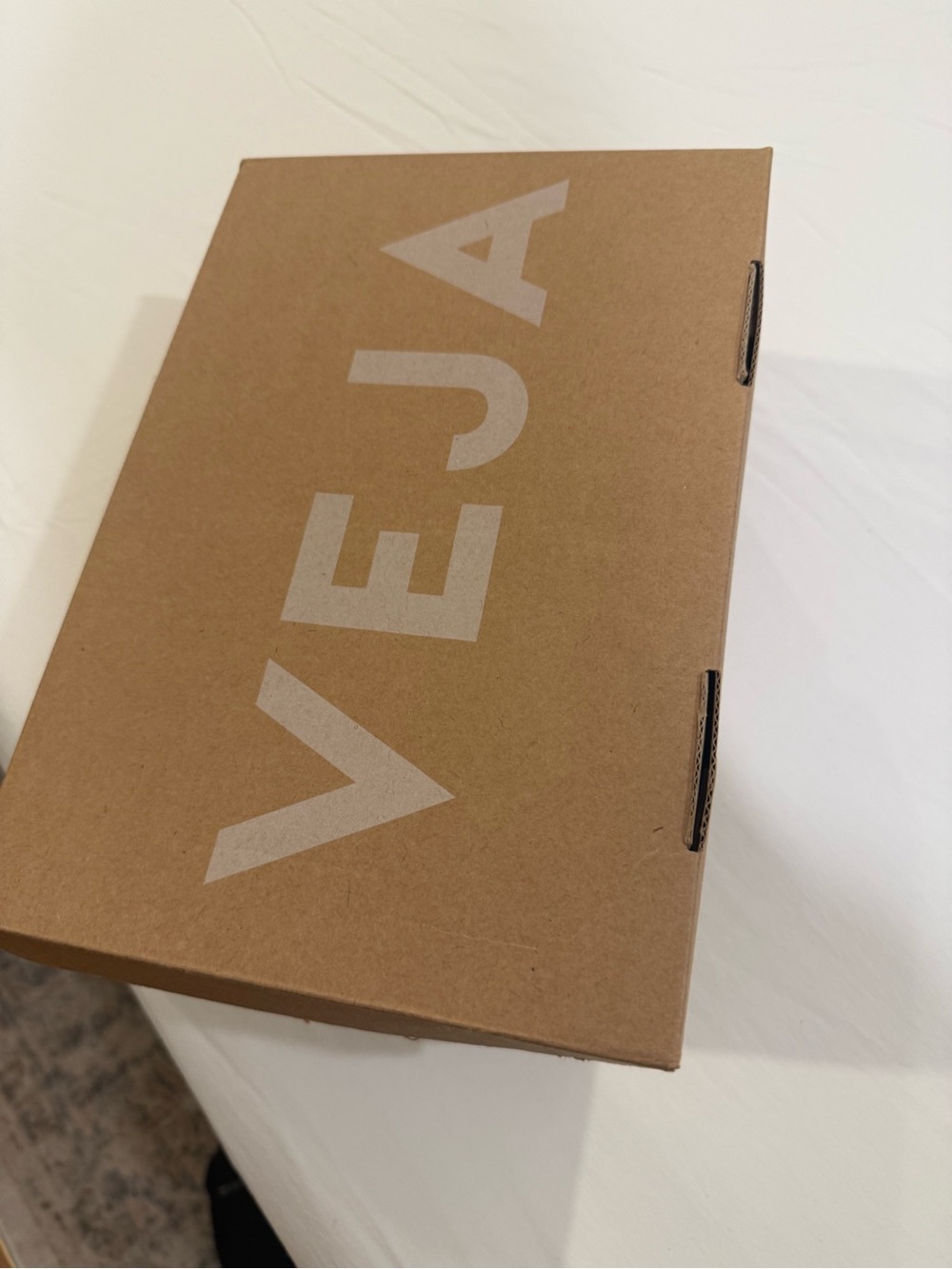Veja Brown Cardboard Box with White Logo brand new